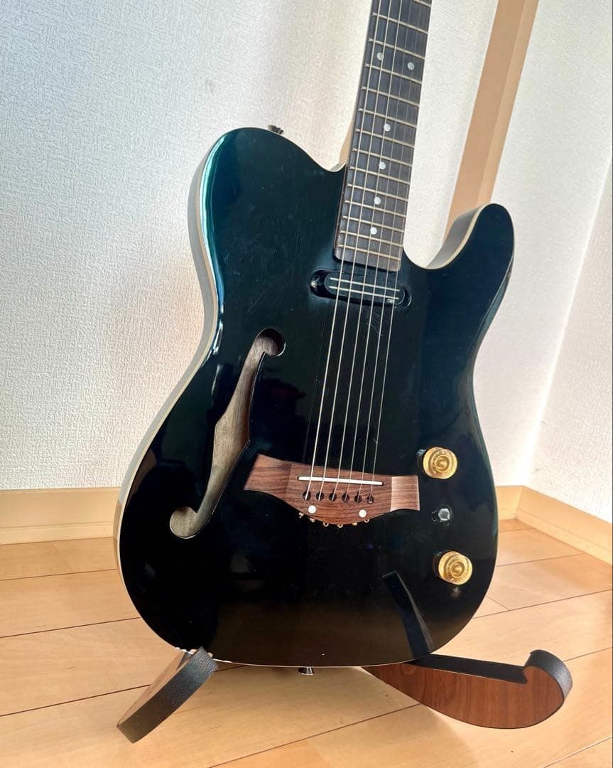 Fender telecasterなのか⁉︎ 謎の妙に格好が良いミステリアスギター