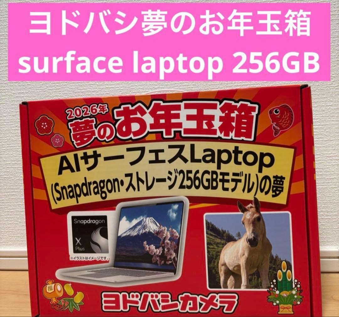 ヨドバシ 福袋 AIサーフェスLaptop Snapdragon 256GBの夢 - メルカリ