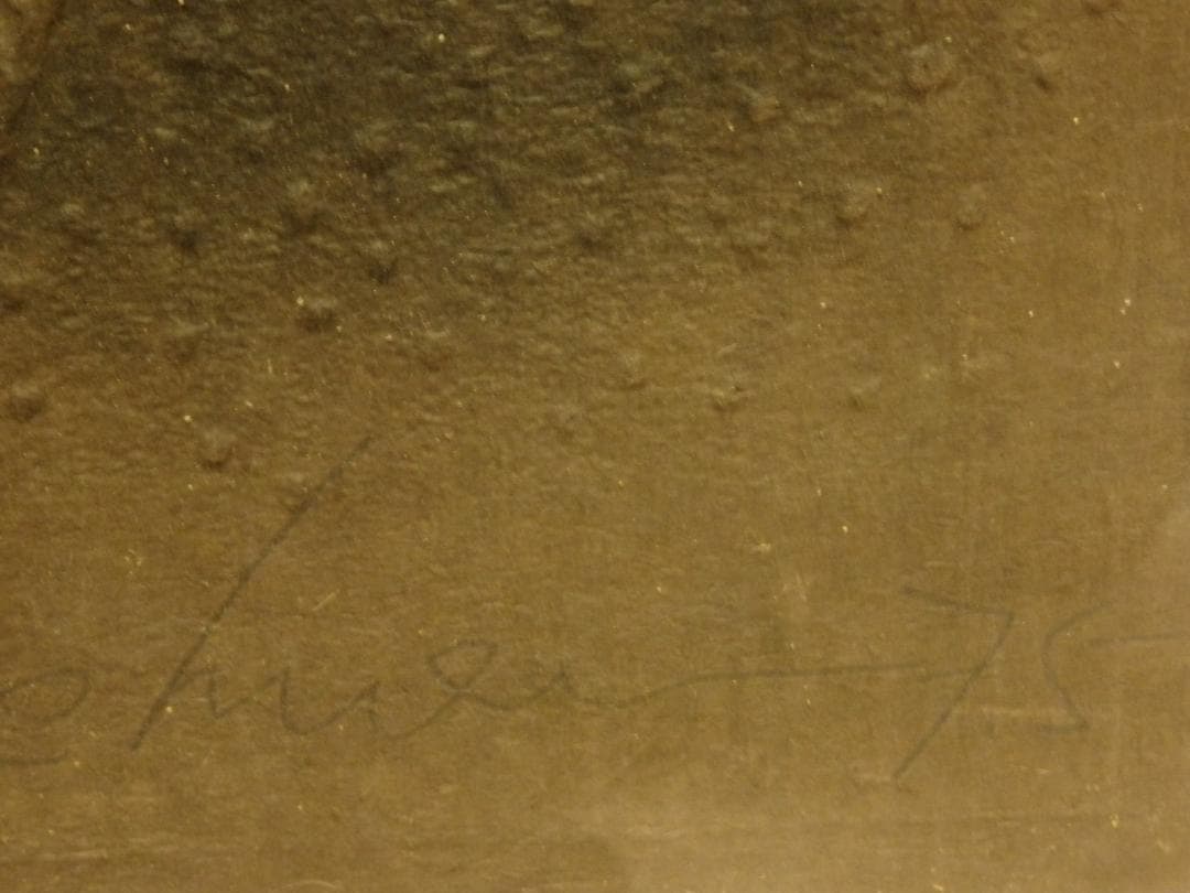 Ha Bik Chuenハ・ビクチュエン、香港現代アート