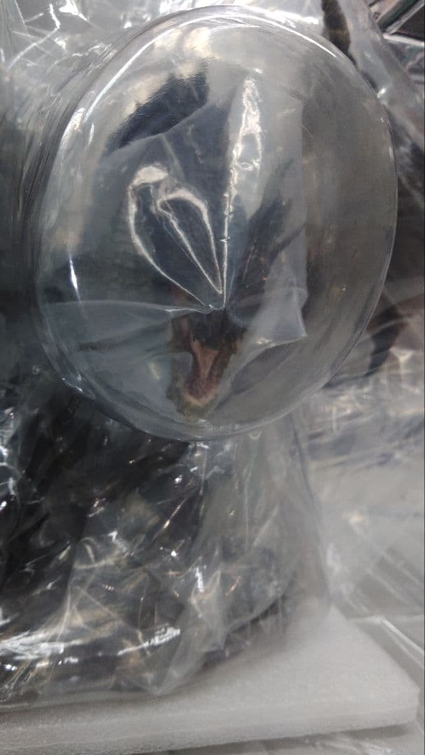 黒龍ミラボレアス　CFBクリエイターズモデル