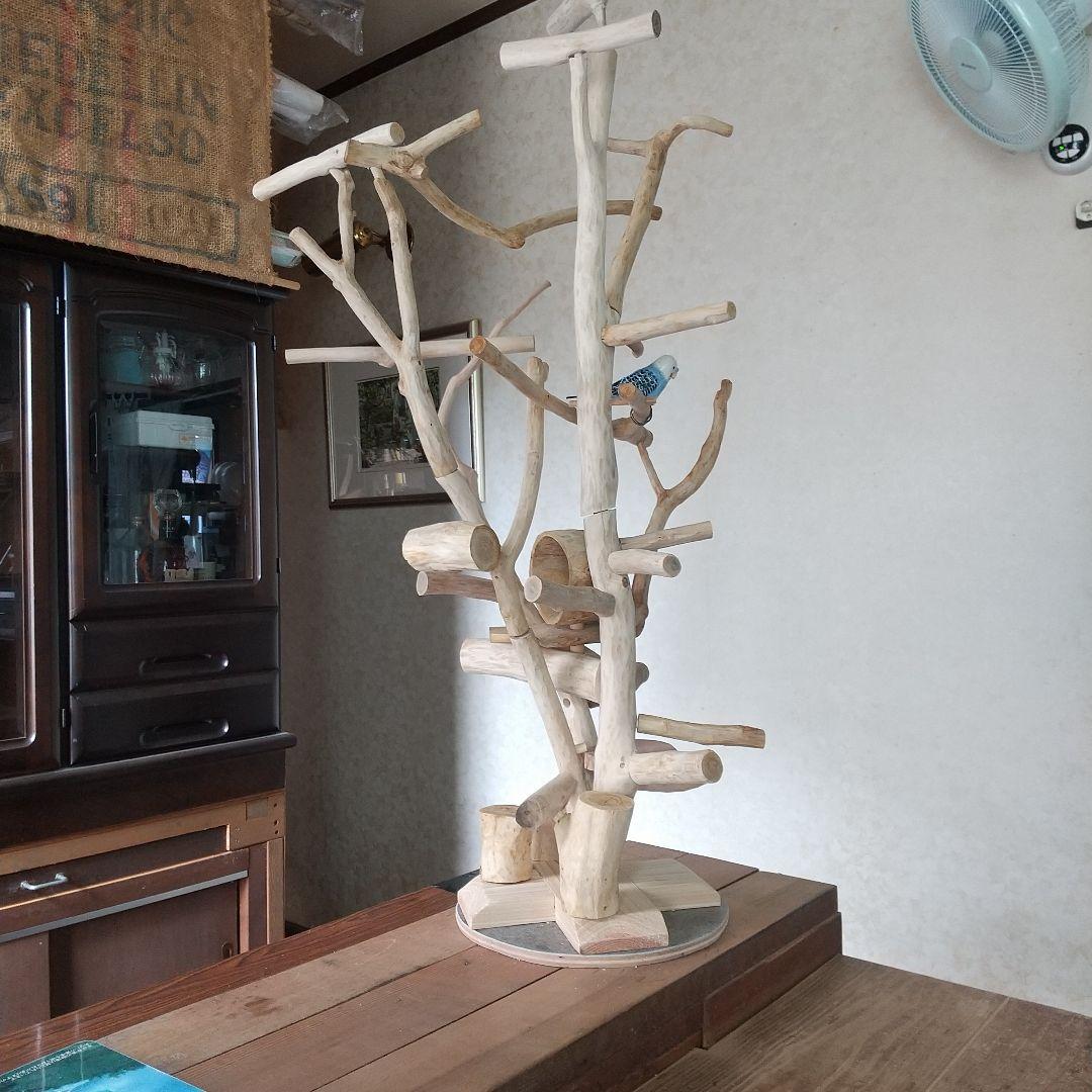 小鳥の楽園バードアスレチックツリージム②