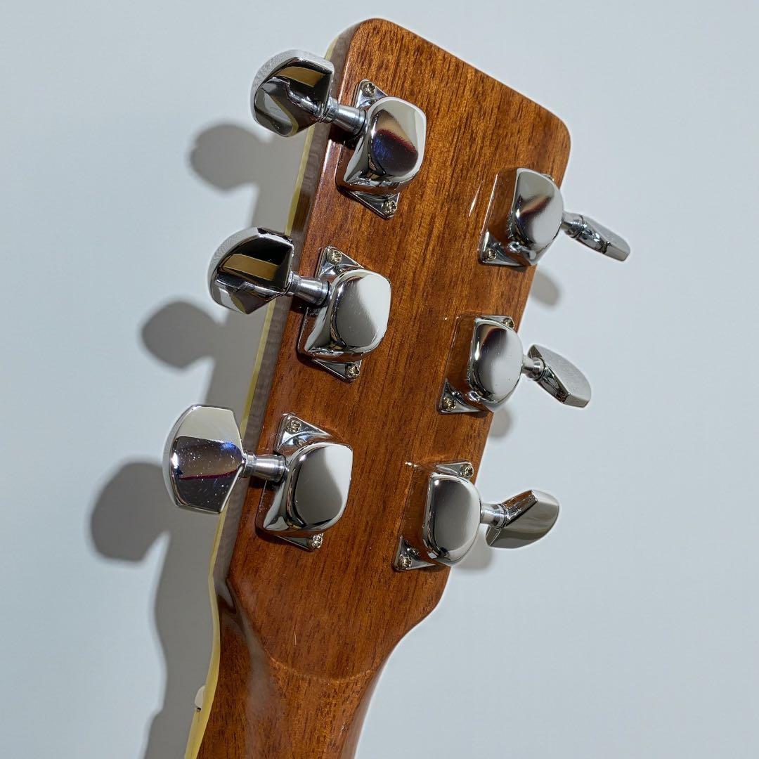 SPLENDOR スプレンダー 国産ドレッド 美品 杢メイプル 楽器・機材