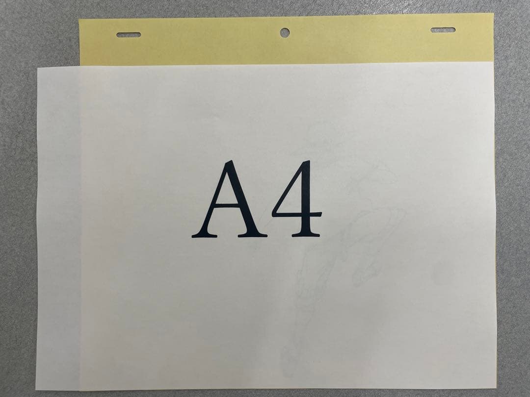 ワンピース　直筆原画　エース