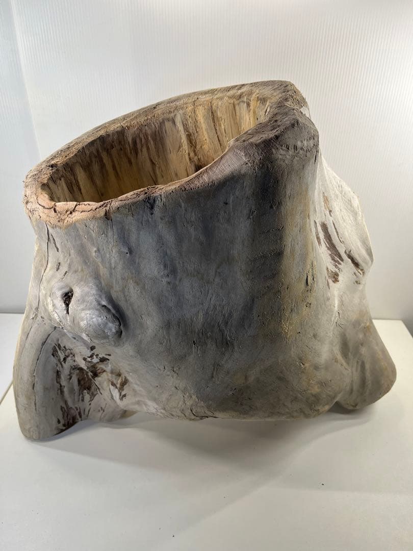 r86特大流木 アク抜き済み 爬虫類シェルター インテリア オブジェ