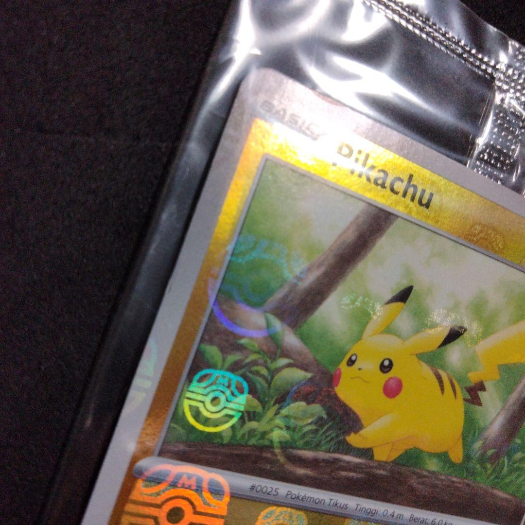 秘蔵 未開封 大会 優勝商品 ピカチュウ マスターボール プロモ 英語