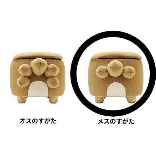 未開封　ポケモンセンター　受注生産　ビッパ　スツール　メス　箱にダメージあり
