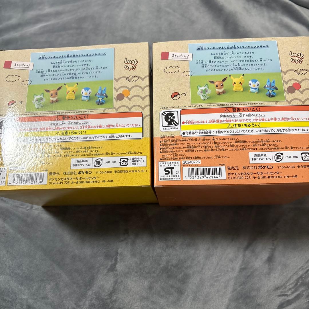 ルカップ　イーブイ、ピカチュウ