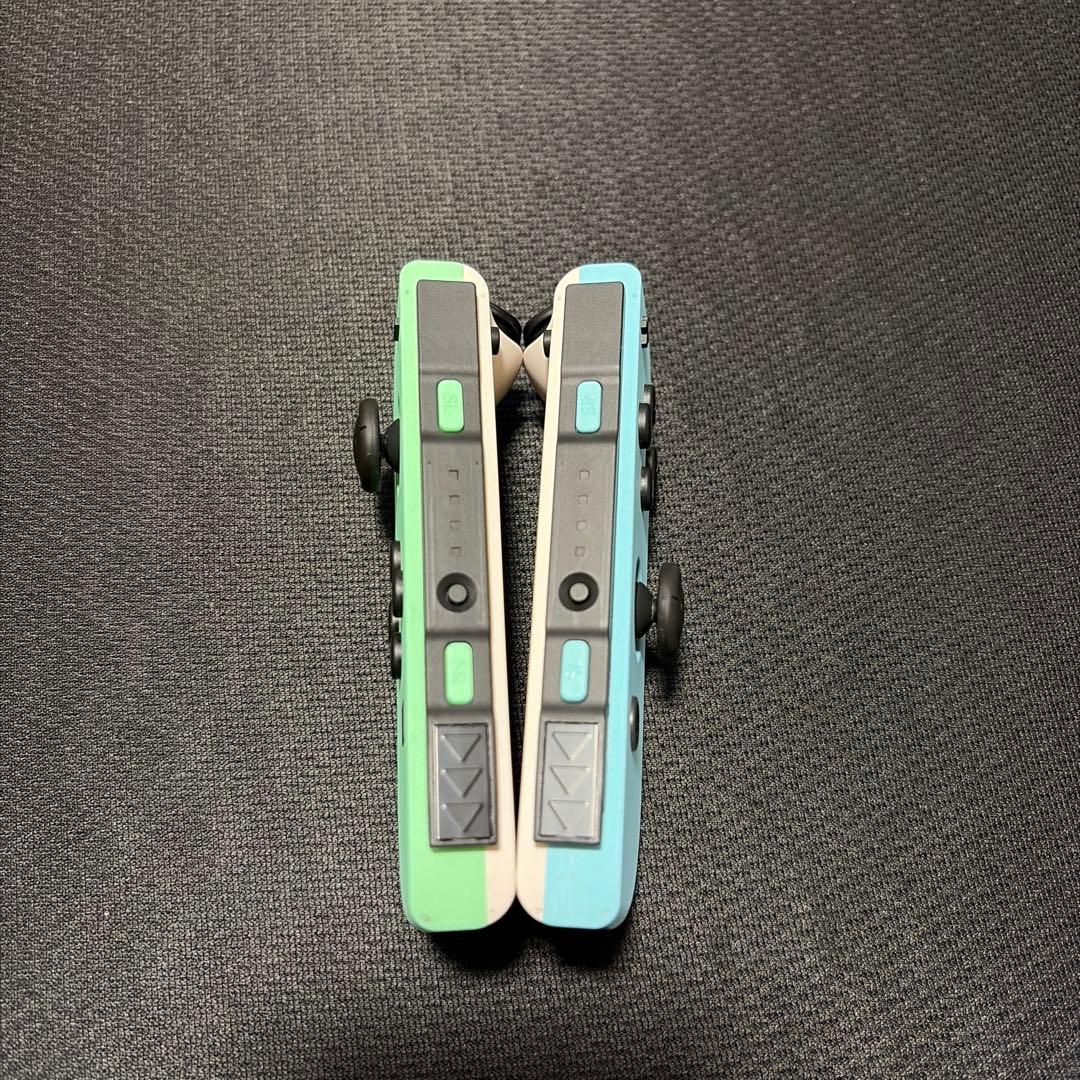 Nintendo Switch あつまれどうぶつの森仕様