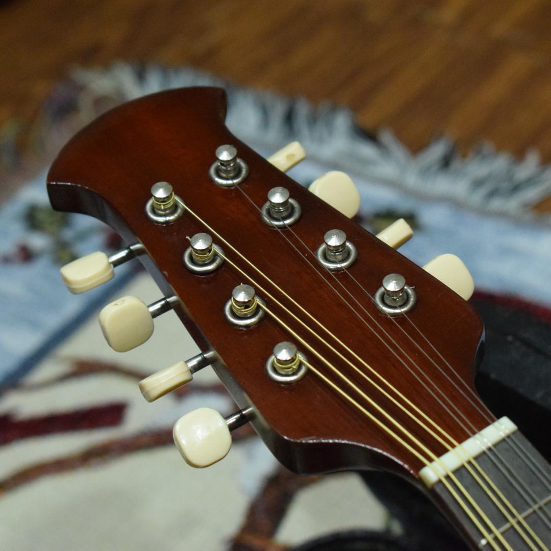 【新品弦張り替え済】Suzuki マンドリン M-210【ハードケース付】