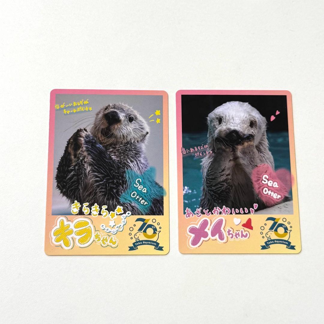 鳥羽水族館70周年記念TOBA AQUARIUMコレクションカード50パック