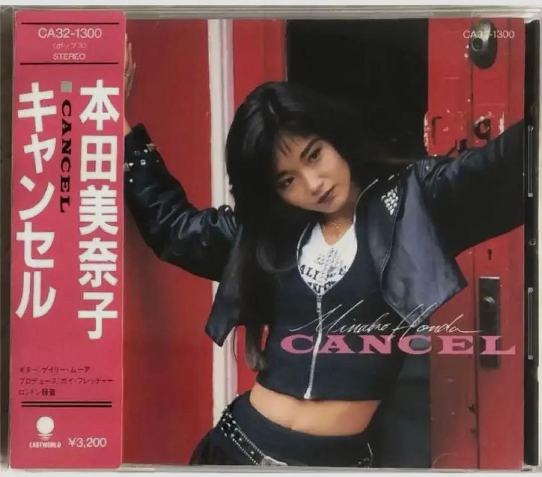 本田美奈子大パネル 本田美奈子 ライブパフォーマンス 1986～2005(3枚