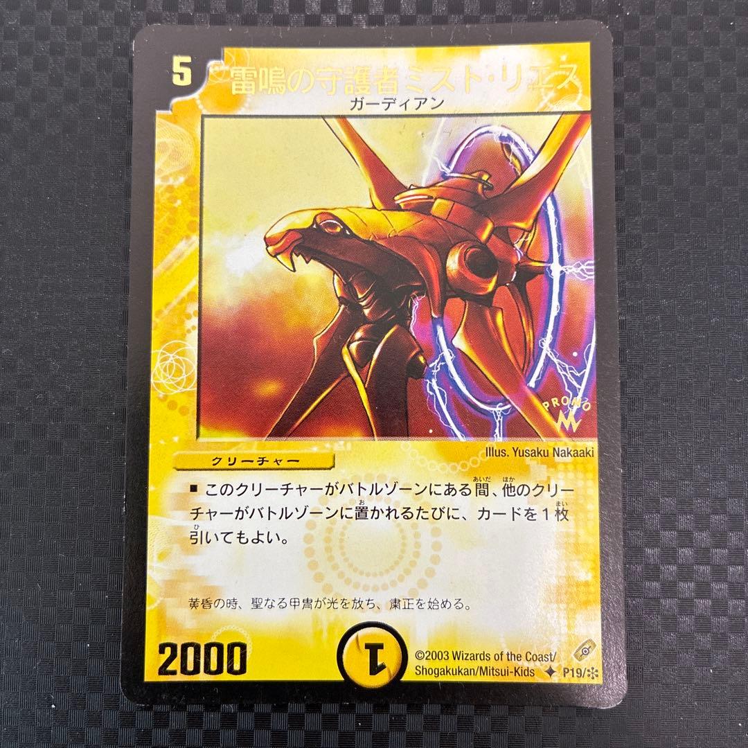 雷鳴の守護者ミスト・リエス - メルカリ