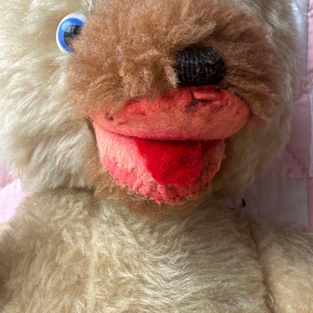 アイルランドPEDIGN社アンティークテディベア