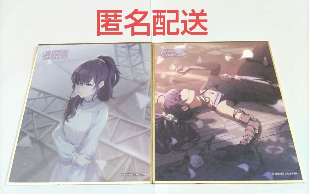 プロセカ 朝比奈まふゆ ミニ色紙 色紙 11C カーネーション・リ