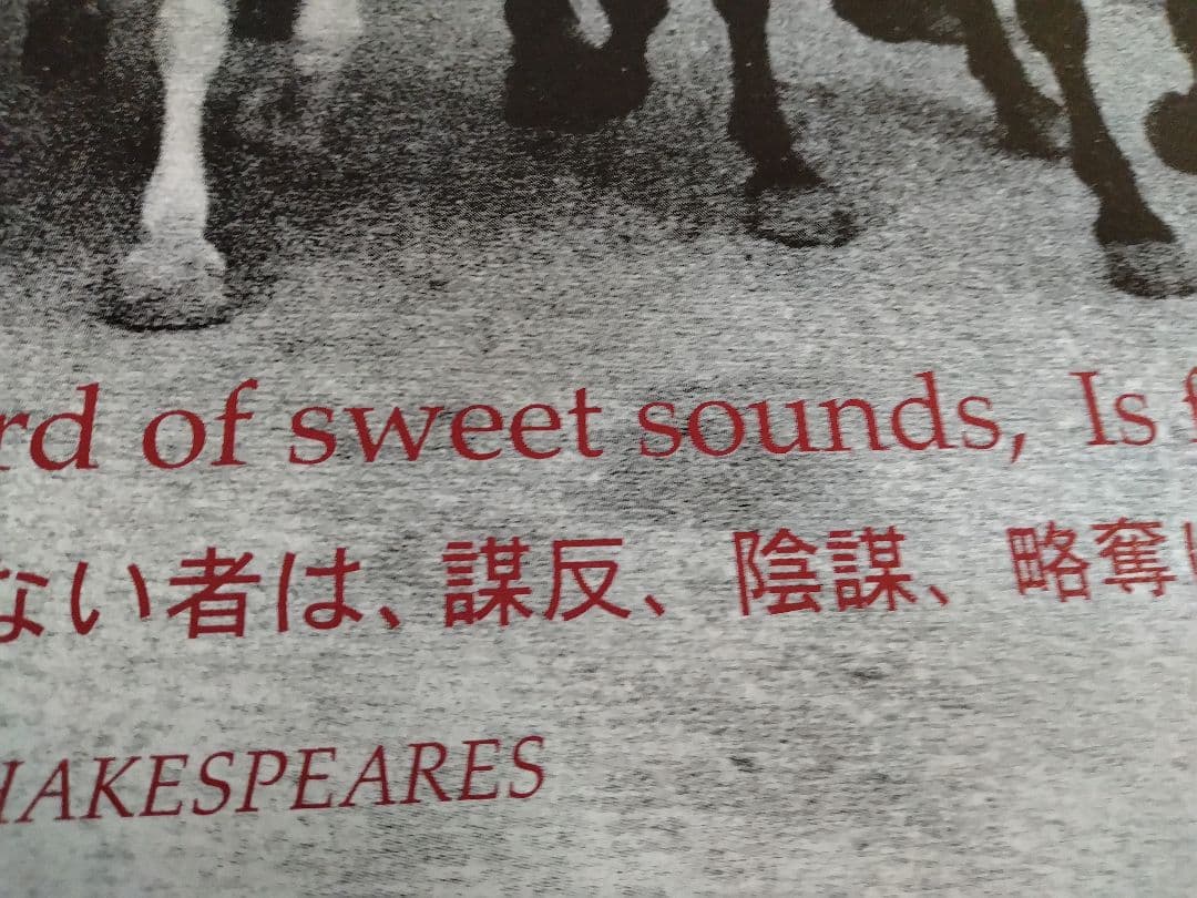 原宿LOWRIDER チェ ゲバラ ポスター DJ MARBO A1 非売品