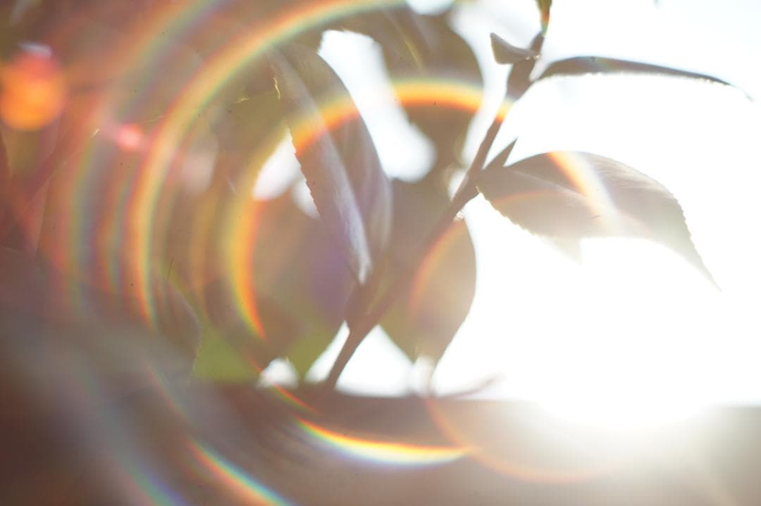 極美フレア✨ 作例有 PENTAX スーパータクマー 55mm f1.8 後期 - メルカリ