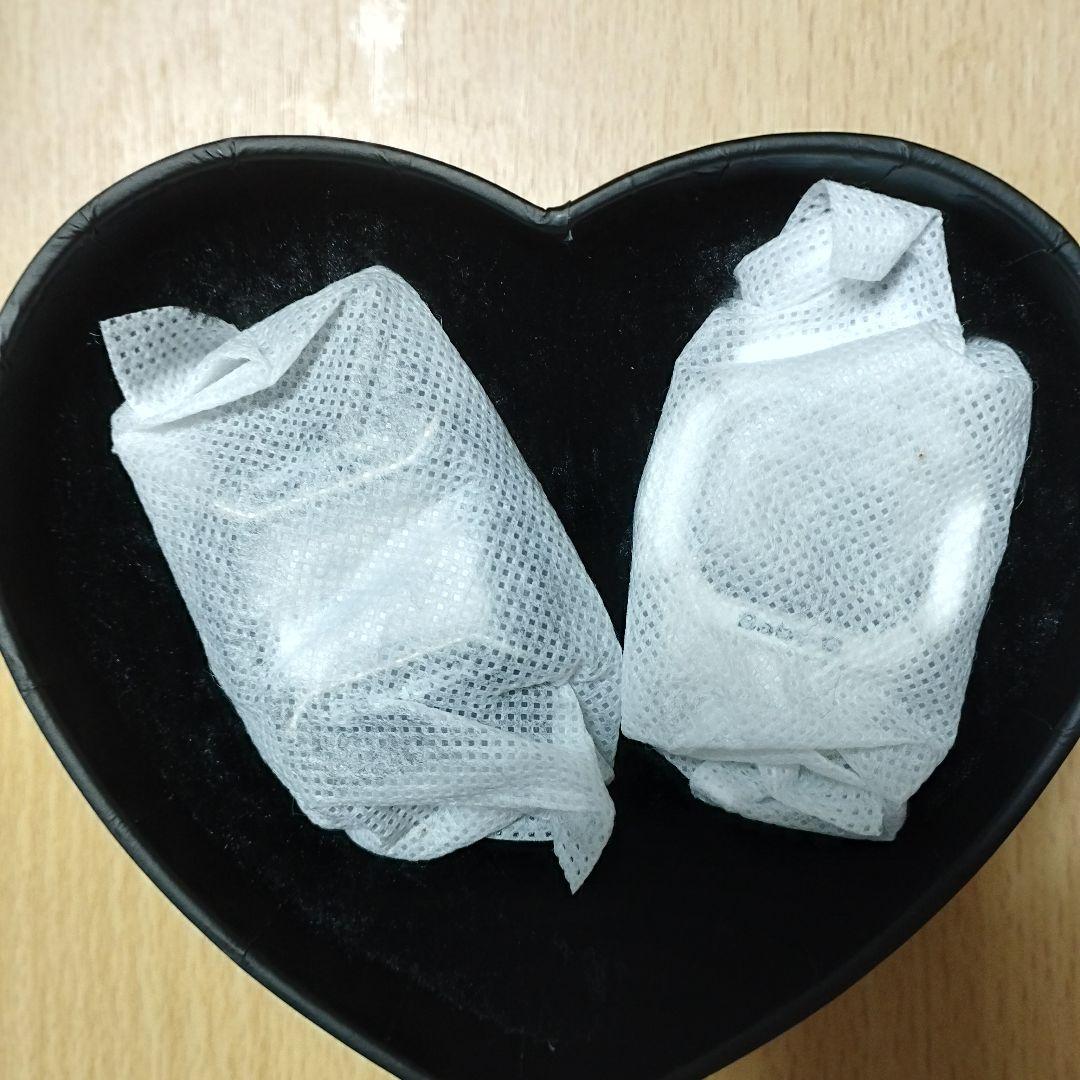 オルソセラス化石複数 片面磨き