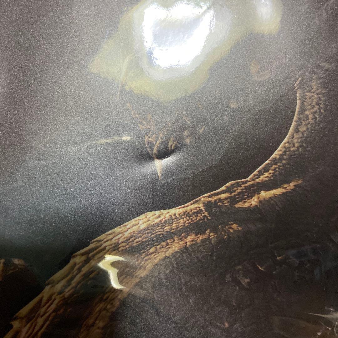 モンハン酒場 ミラボレアス クリアファイル - メルカリ