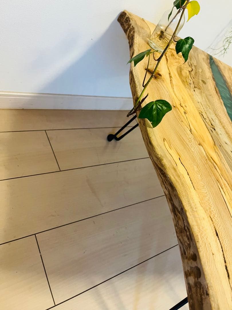 フリーダムきょうたろう