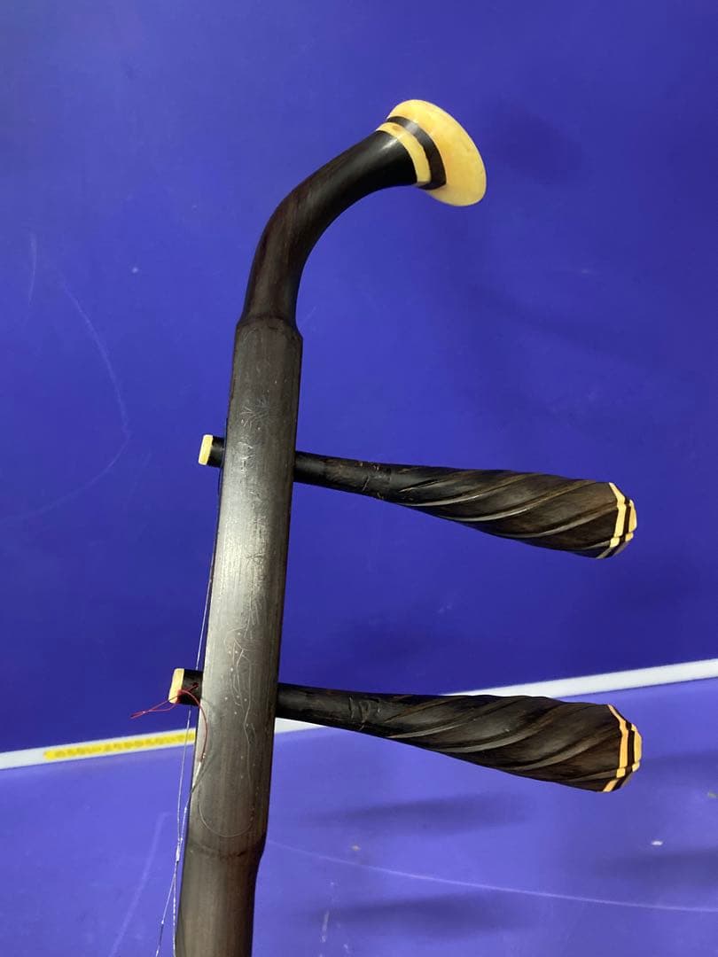 B）中国民族楽器 丁豪康精製 高級 明清古料 老紅木 二胡 弓 ケース 付属品付