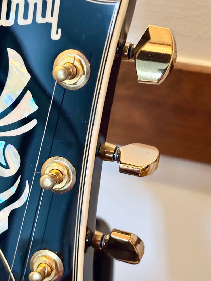 FERNANDES BURNYバーニー レスポールカスタムタイプ RLC-55