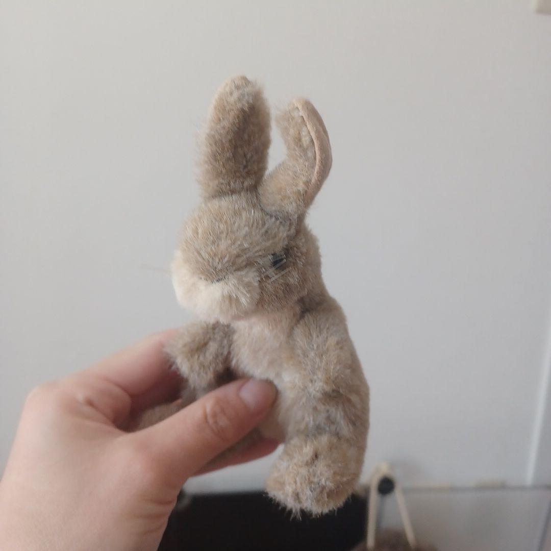 どうぶつセット　ぬいぐるみ