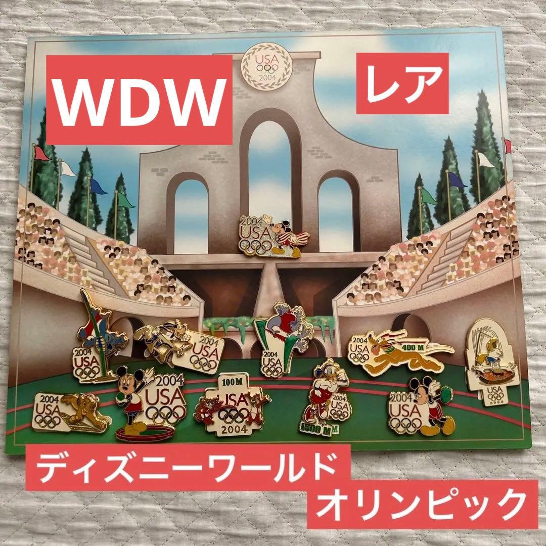 ディズニーワールド ピンバッジ コレクション