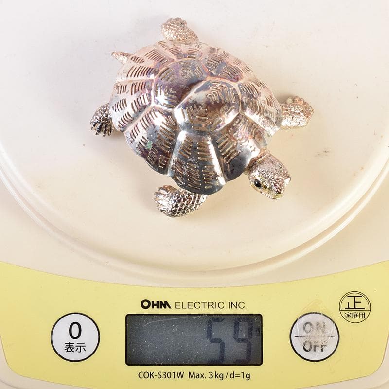 aki　クリストフル　リュミエールダルジャン　亀　M　R7838