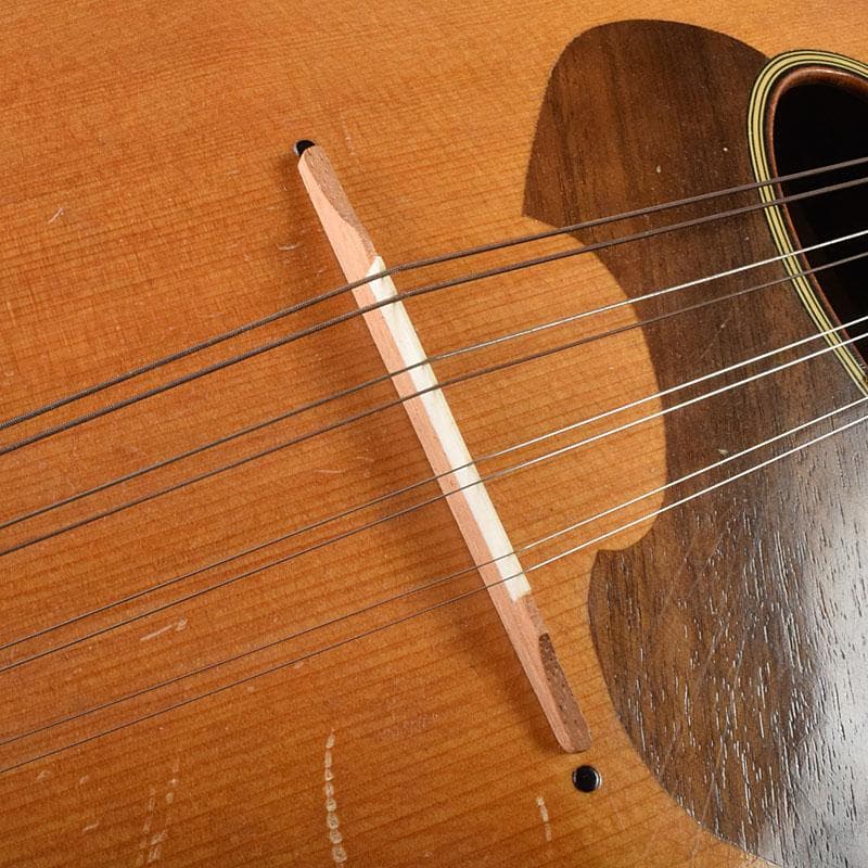 国島マンドリン　NO.104　ハードケース・鼈甲ピック付　M　R9251H