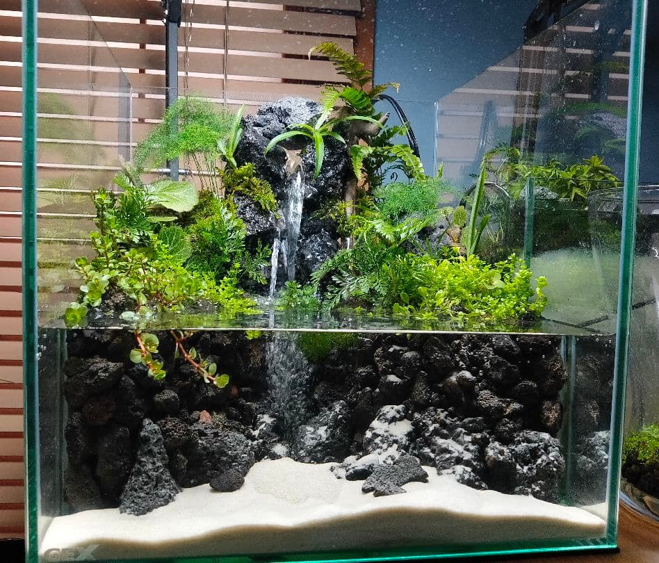 滝の流れる30cmキューブアクアテラリウム【レイアウト済みアクア