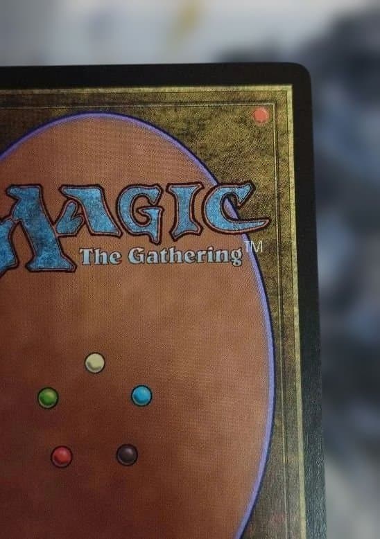 MTG グルランド《平地》サインド