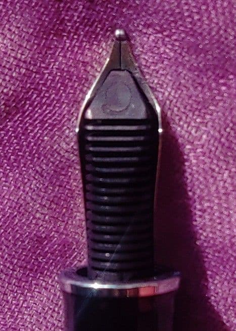 【調整済】ペリカン　自然の美観シリーズ　ポーラーライト　M640 字幅M