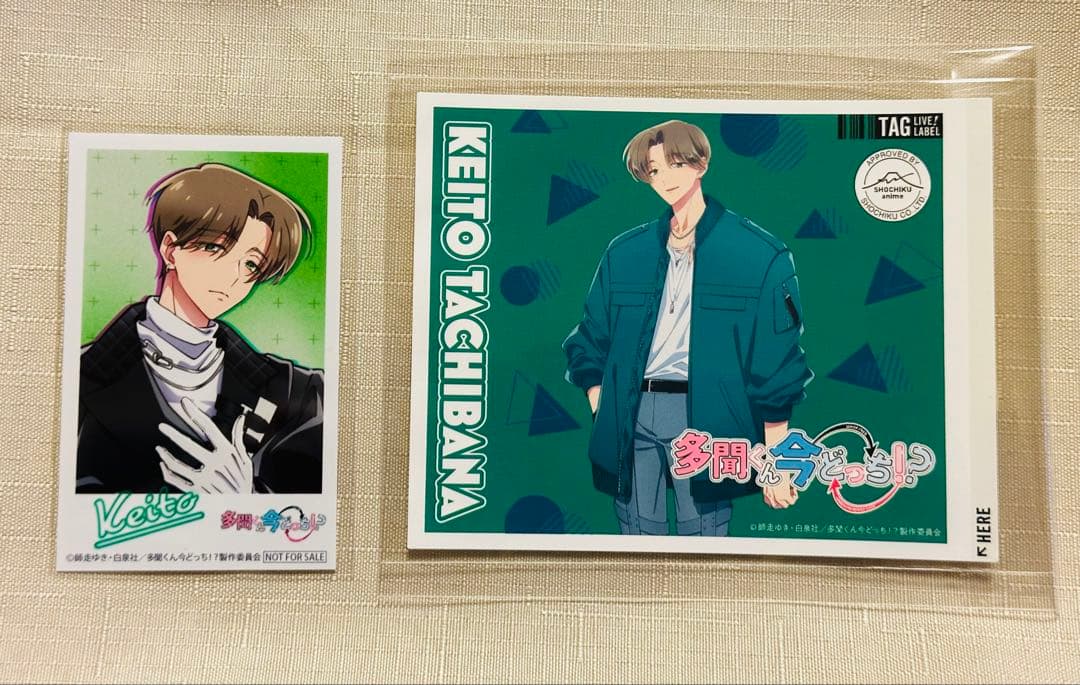 美品】多聞くん今どっち！？ 橘敬人 ステッカー＆ミニフォト 2点セット