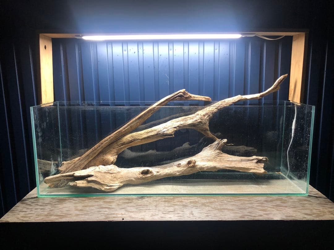 24@3点おまとめ 天然水槽用流木 沈水確認済み 24@3点お