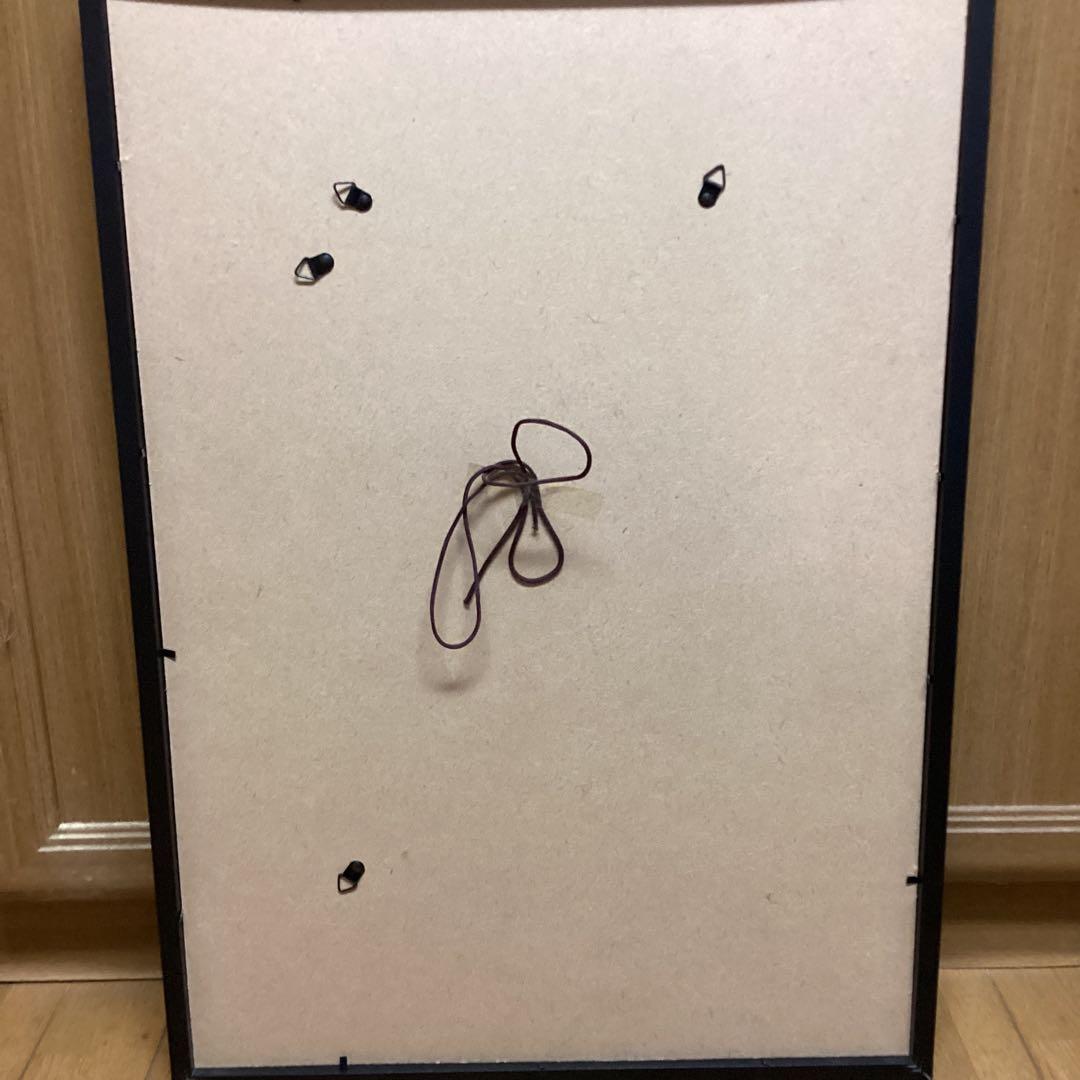 天才画家　速水御舟　作品集大作編　便利堂監修　NO 【50    牡丹双華】画集