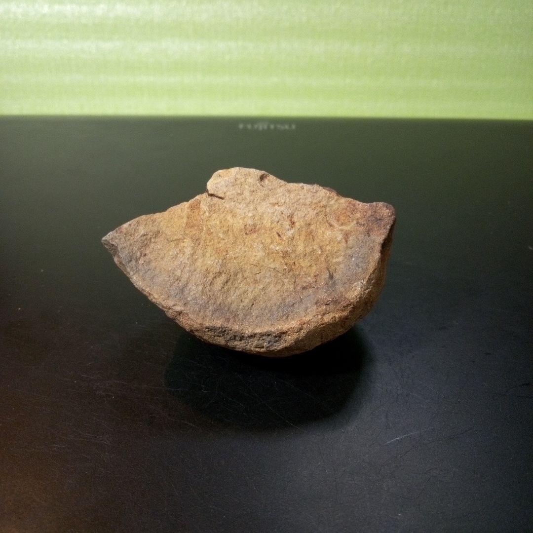 三葉虫 化石 fossil ボリビア産 レア Fossil管理⑦