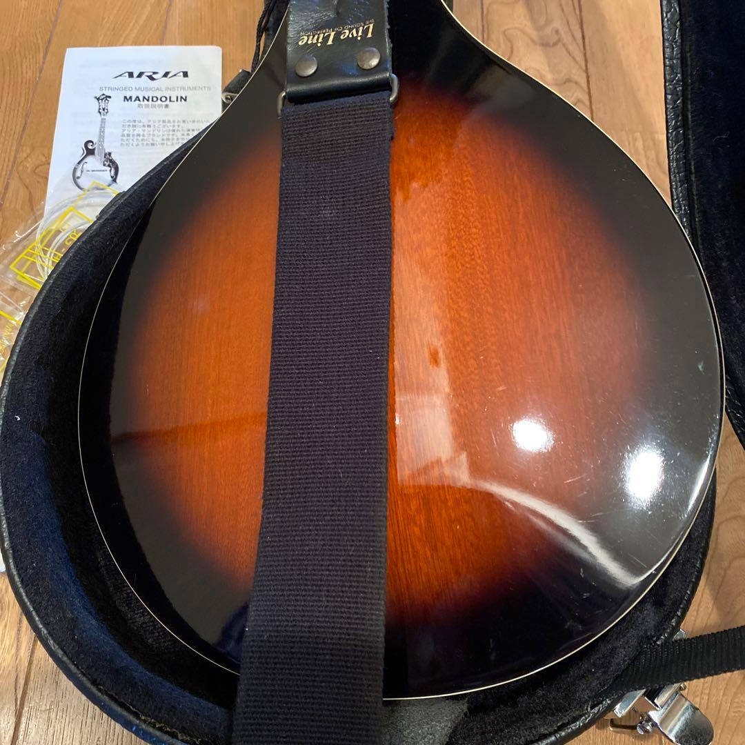 弦楽器 ARIA Mandolin