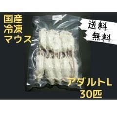 国産 冷凍マウスアダルト L 30匹 (送料無料一部地域発送不可) - メルカリ