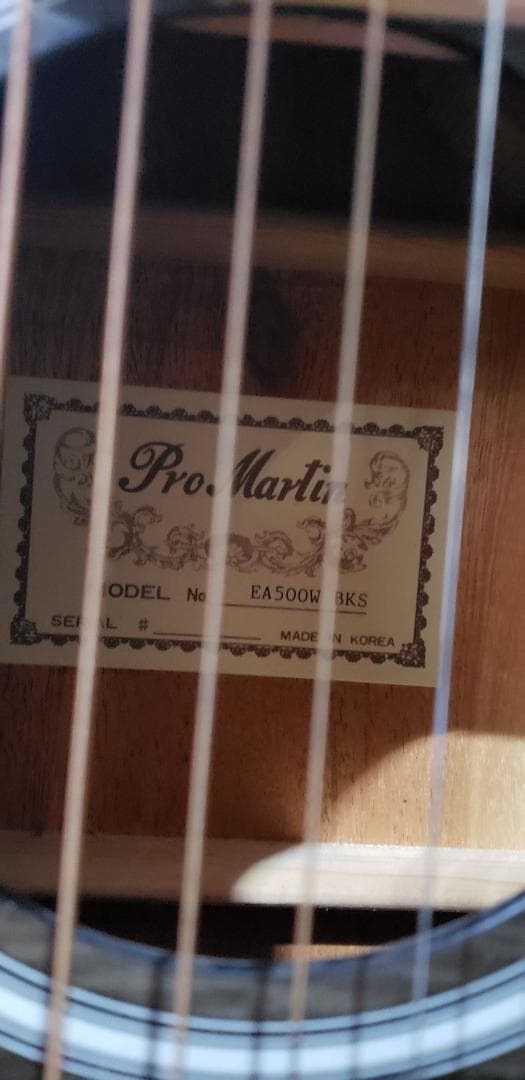 Pro Martin EA500BKS エレクトリックアコースティックギター - メルカリ