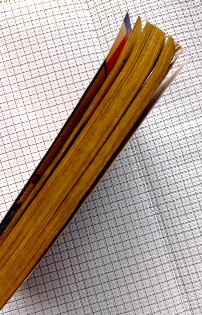 月刊アニマルハウス 特別編集　王狼 凄絶総集編　作 武論尊　画 三浦建太郎