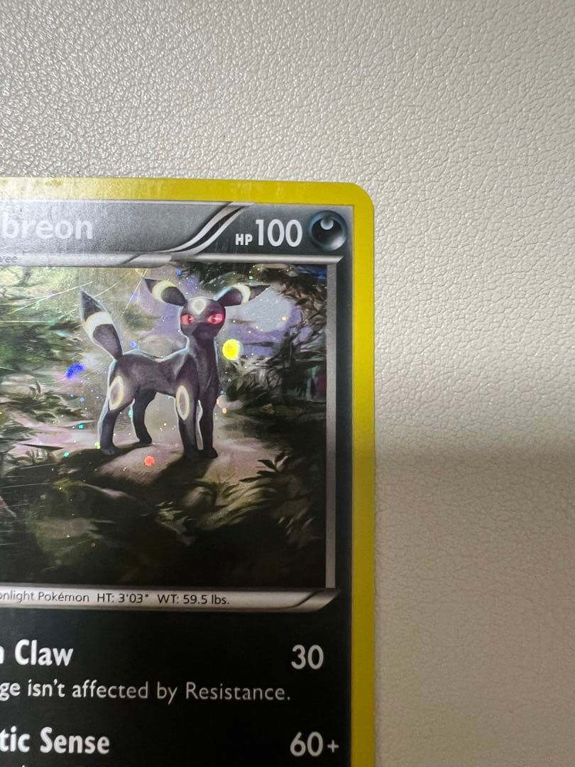 ポケモンカード　ブラッキー　ナイトバトル PROMO 英語版