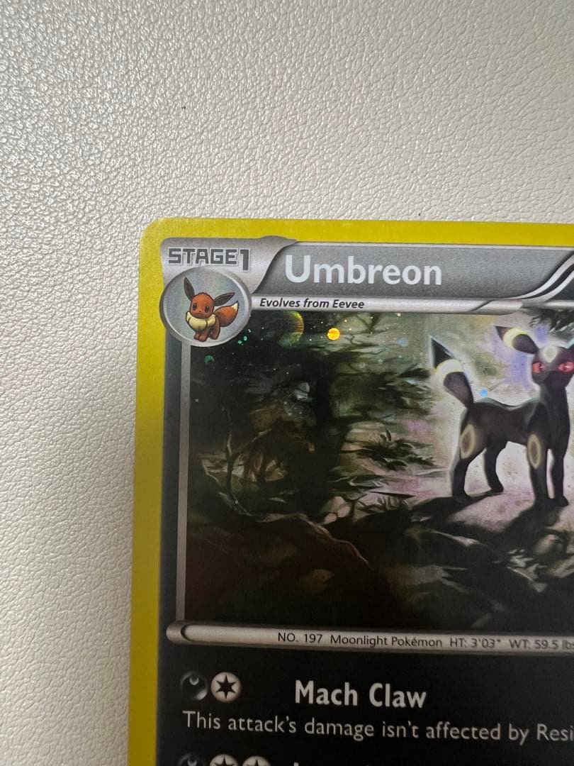 ポケモンカード　ブラッキー　ナイトバトル PROMO 英語版