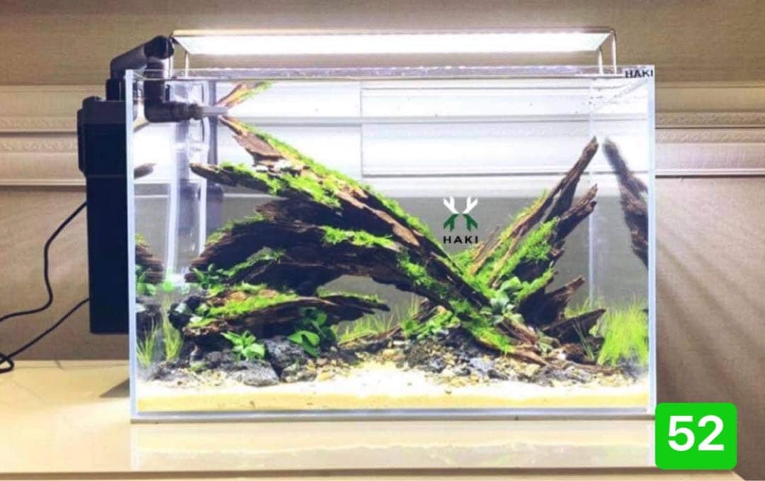 サンプル製品画像のセット。水槽。流木 爬虫類ゲージ。水生植物。流木