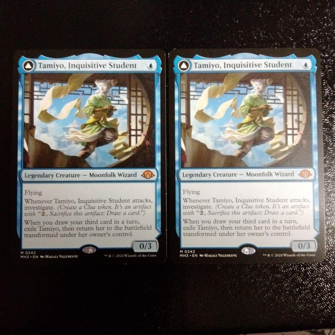 知りたがりの学徒、タミヨウ　英語版　2枚セット