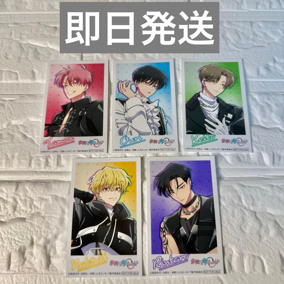 新品 多聞くん今どっち!? CD「F/ACE OFF」アニメイト特典 ミニフォト