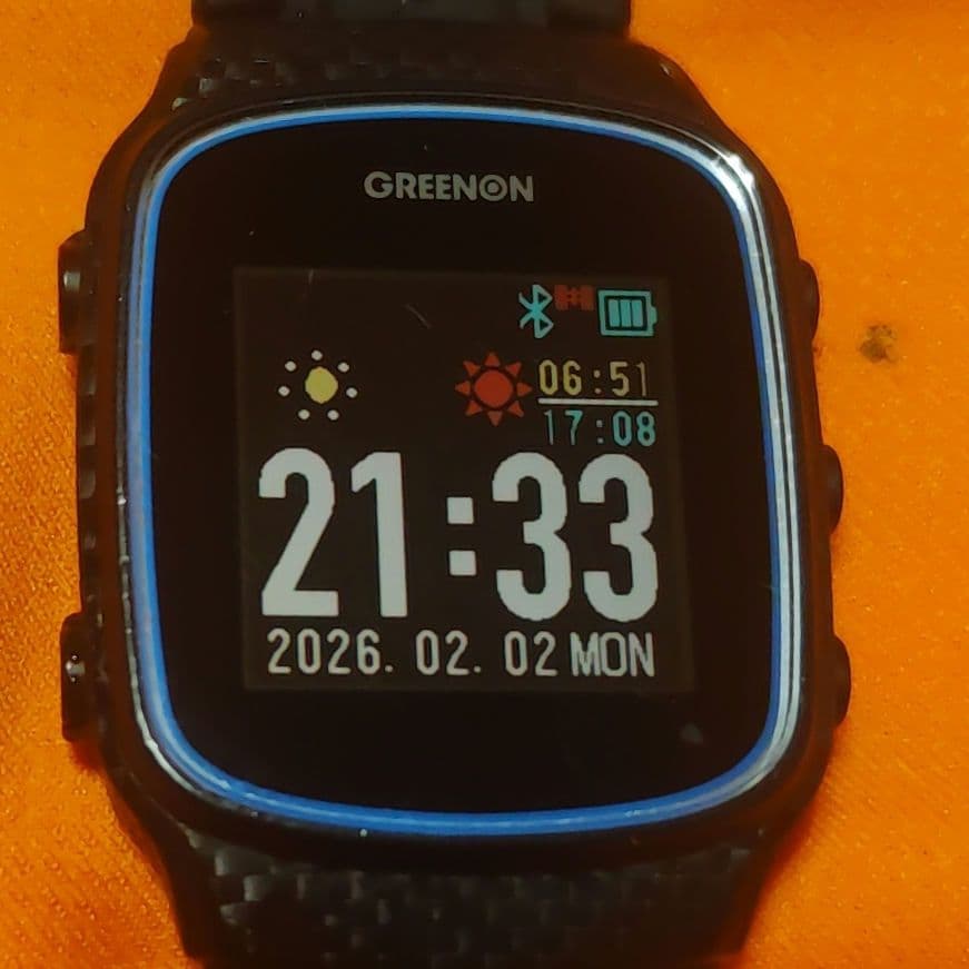 グリーンオン NORM Ⅱ最新ファームウェアに更新済み（送料無料