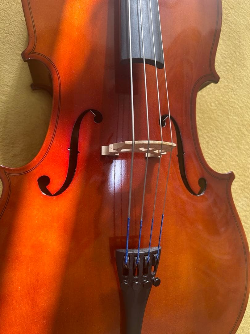 【美品】分数チェロ1/4 カルロジョルダーノ
