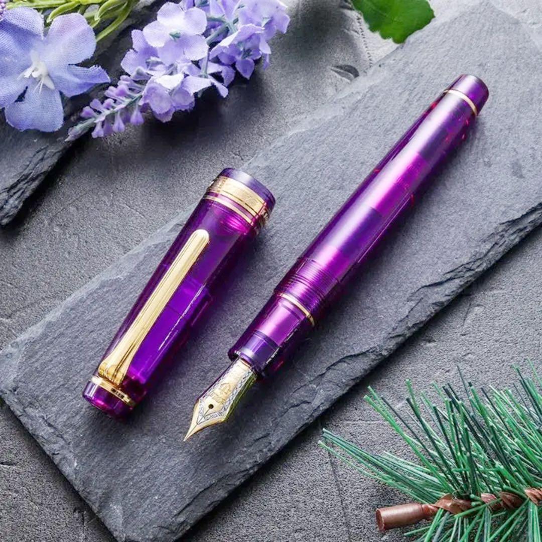 S124 WANCHER × SAILOR セーラー 限定 万年筆 枝垂れ藤 S124 WANCHER