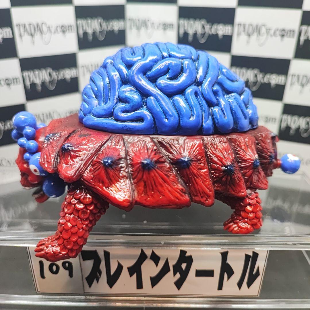 109ブレインタートル