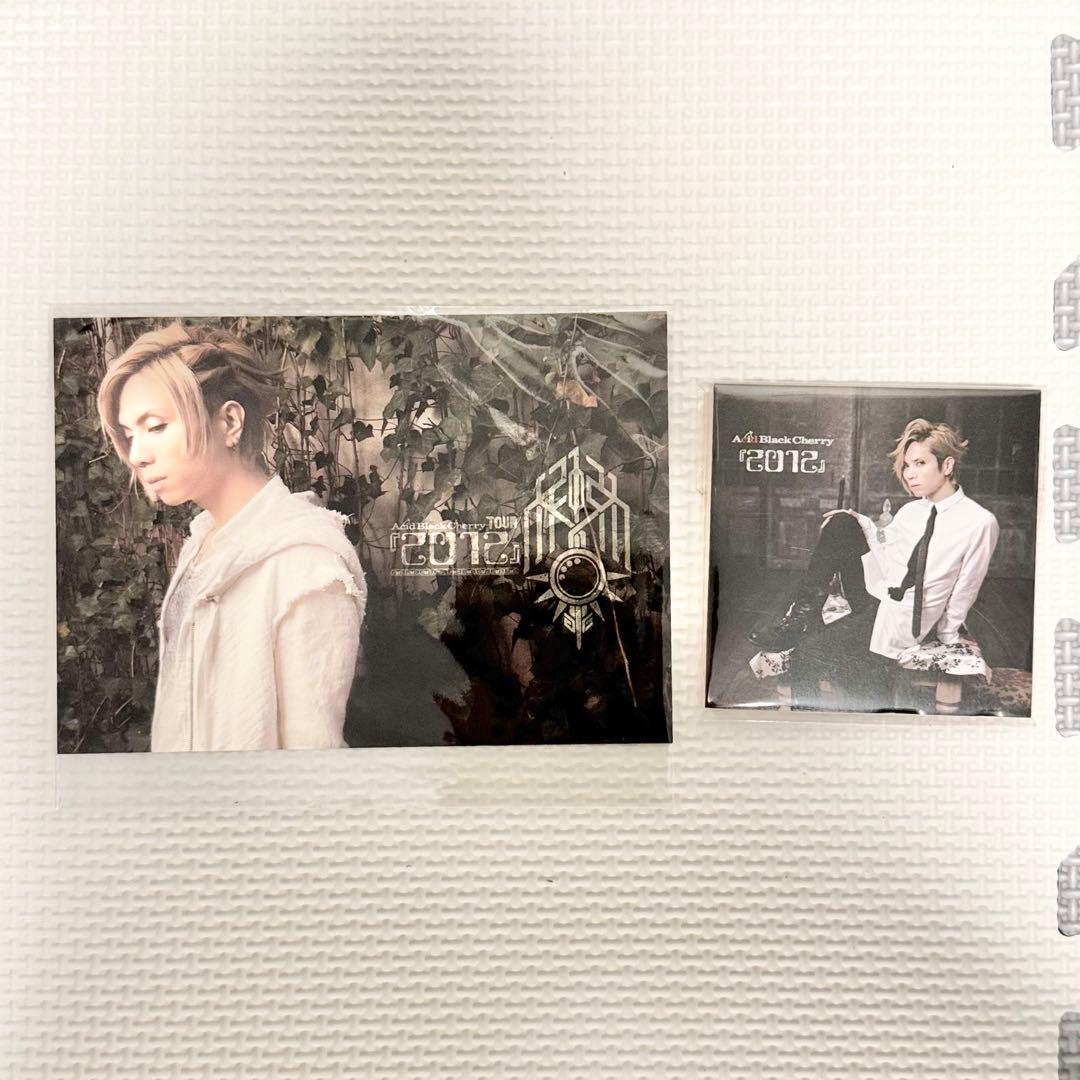 acid black cherry クリアファイル/ポストカード/メモ/パンフ - メルカリ